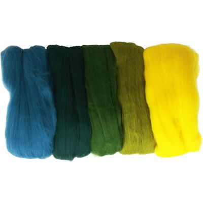 Rayher Laine Mérinos en Carton - 5 Couleurs - Felting & Filage Rayher Laine Mérinos en Carton - 5 Couleurs - Felting & Filage