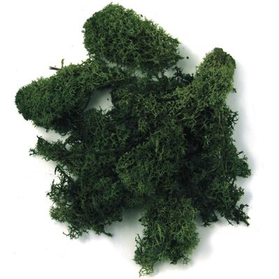 Musgo insular Rayher - Verde escuro - 1kg - Musgo decorativo Musgo insular Rayher - Verde escuro - 1kg - Musgo decorativo