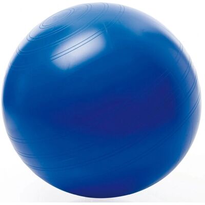 TOGU - Sitzball ABS - Blu - 75 cm - Exercise Ball TOGU - Sitzball ABS - Blu - 75 cm - Exercise Ball