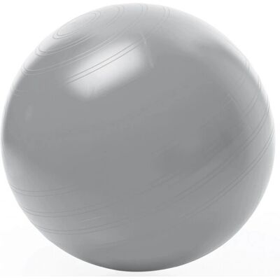 Togu Gmbh Silber Gymnastikball 55cm - Fitness ball Togu Gmbh Silber Gymnastikball 55cm - Fitness ball