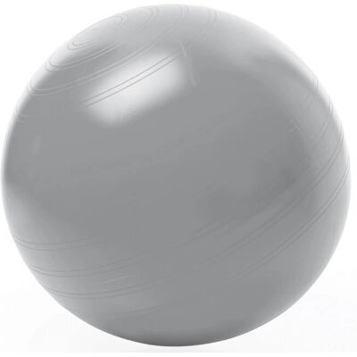 Palla da esercizio argento da 75cm Togu Gmbh - Palla da esercizio Palla da esercizio argento da 75cm Togu Gmbh - Palla da esercizio