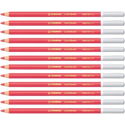 Stabilo 12 Charcoal Pastel Crayons - Color Pencil Stabilo 12 Charcoal Pastel Crayons - Color Pencil