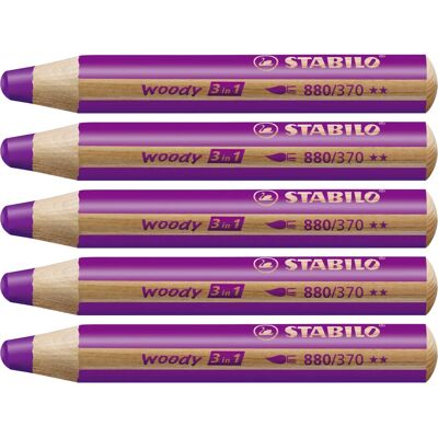 Stabilo Pastelka - 3 in 1 Watercolor & Crayon - Color Pencils Stabilo Pastelka - 3 in 1 Watercolor & Crayon - Color Pencils
