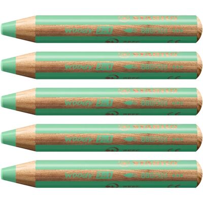Stabilo - Crayon de couleur 880 Woody 3 en 1 Vert Pastel - Crayons de couleur - Publicité Stabilo - Crayon de couleur 880 Woody 3 en 1 Vert Pastel - Crayons de couleur - Publicité
