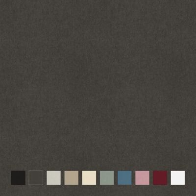 Neutex For You! Belmondo Vorhang - Dunkelgrau, 138x270cm Neutex For You! Belmondo Vorhang - Dunkelgrau, 138x270cm