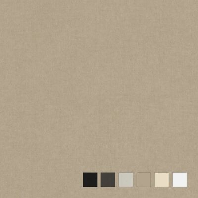 Neutex for you! VelvetDream Beigegardine 137x250cm Blackout Elegant Samt Neutex for you! VelvetDream Beigegardine 137x250cm Blackout Elegant Samt
