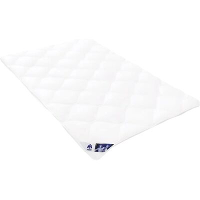 Irisette Badenia Bettcomfort 03649580140 - 4-Jahreszeiten Bettdecke - Leicht, Allergikerfreundlich Irisette Badenia Bettcomfort 03649580140 - 4-Jahreszeiten Bettdecke - Leicht, Allergikerfreundlich