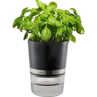 Gefu Botanico Kräutertopf - Selbstbewässernd, Kunststoff & Edelstahl, Schwarz Gefu Botanico Kräutertopf - Selbstbewässernd, Kunststoff & Edelstahl, Schwarz