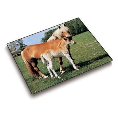 Laufer Modèle 46587 Tapis de Bureau - Cheval & Poulain - Multicolore - Publicité Laufer Modèle 46587 Tapis de Bureau - Cheval & Poulain - Multicolore - Publicité