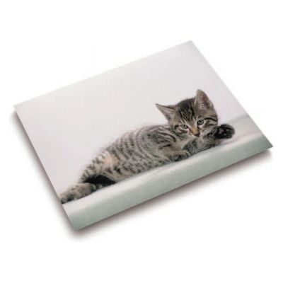 Laufer 46592 Schreibtischunterlage - Katze Grau, Mehrfarbig, 40x53 cm Laufer 46592 Schreibtischunterlage - Katze Grau, Mehrfarbig, 40x53 cm