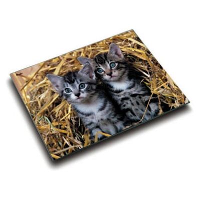 Laufer Model 46637 Multicolour Desk Pad Laufer Model 46637 Multicolour Desk Pad