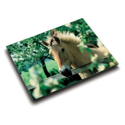 Laufer Horse Desk Pad - Non-slip, 3-layer, Washable - Desk Pad Laufer Horse Desk Pad - Non-slip, 3-layer, Washable - Desk Pad