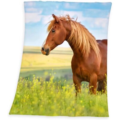 Plaid di Lana Herding 130x160cm Multicolore - Copriletto Plaid di Lana Herding 130x160cm Multicolore - Copriletto