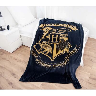 Herding Harry Potter Hogwarts 150x200cm - Publicité Herding Harry Potter Hogwarts 150x200cm - Publicité