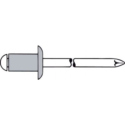 Rivetto cieco in alluminio Gesipa - 50mm, 5mm, 100 pezzi - Resistente, Monolaterale, Standard Rivetto cieco in alluminio Gesipa - 50mm, 5mm, 100 pezzi - Resistente, Monolaterale, Standard