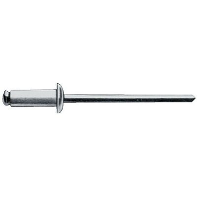 Remaches GESIPA 6.0x16.0mm Acero - Fijación Duradera de un Lado Remaches GESIPA 6.0x16.0mm Acero - Fijación Duradera de un Lado