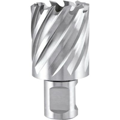 Ruko Kernbohrer - Ø 31mm - 30mm Tiefe - HSS - Weldon - Stahl Ruko Kernbohrer - Ø 31mm - 30mm Tiefe - HSS - Weldon - Stahl