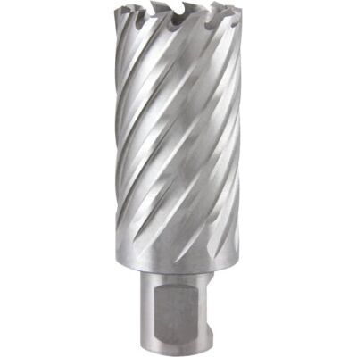 Ruko 108518 Kernbohrer - HSS, 55mm Tiefe, Weldon, 18mm Durchmesser Ruko 108518 Kernbohrer - HSS, 55mm Tiefe, Weldon, 18mm Durchmesser