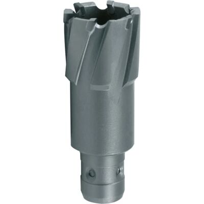 RUKO 1081122 Kernbohrkronen - Hartmetall, Quick IN, 50mm Schnitt, 22mm Durchmesser, 6 Zähne RUKO 1081122 Kernbohrkronen - Hartmetall, Quick IN, 50mm Schnitt, 22mm Durchmesser, 6 Zähne