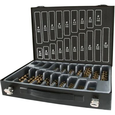 Conjunto de Brocas Helicoidales Terrax A214200 - 170 Piezas - DIN 338 HSS-G Conjunto de Brocas Helicoidales Terrax A214200 - 170 Piezas - DIN 338 HSS-G