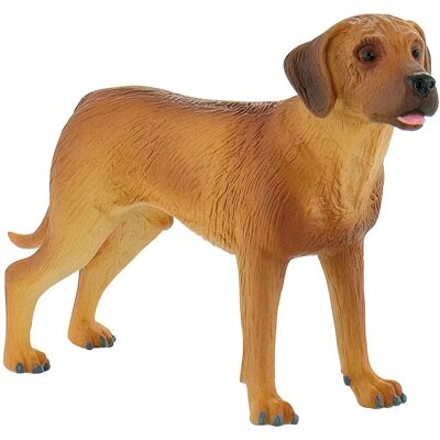 Bullyland - Rhodesian Ridgeback Nelson - Race Rhodesian Ridgeback - Nom Nelson - Figure - Publicité Bullyland - Rhodesian Ridgeback Nelson - Race Rhodesian Ridgeback - Nom Nelson - Figure - Publicité