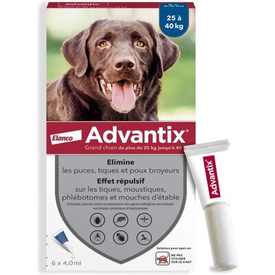 Advantix Pipette für Hunde 25-40 Kg - Anti-Parasitikum - 6 Stück Advantix Pipette für Hunde 25-40 Kg - Anti-Parasitikum - 6 Stück