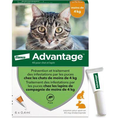 Advantage Cat Rabbit 1-4kg Pipettes - Anti-parasites Advantage Cat Rabbit 1-4kg Pipettes - Anti-parasites