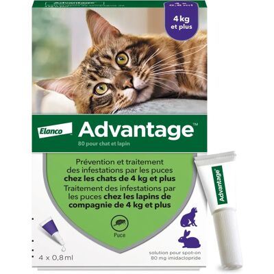 Advantage Chat Lapin +4Kg Pipettes - Contrôle Parasites - Publicité Advantage Chat Lapin +4Kg Pipettes - Contrôle Parasites - Publicité