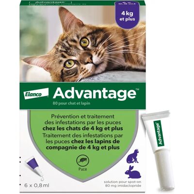 Advantage Antiparasitaire - Pipettes - Chats & Lapins 4kg+ - Publicité Advantage Antiparasitaire - Pipettes - Chats & Lapins 4kg+ - Publicité