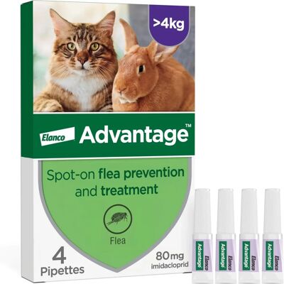 Advantage 80 Flea Treatment for Large Cats & Rabbits - Flea Control Advantage 80 Flea Treatment for Large Cats & Rabbits - Flea Control