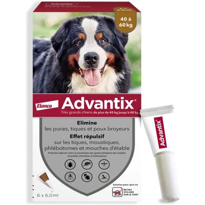 Advantix Pipette für Hunde 40-60 kg - Außenparasitenbekämpfung Advantix Pipette für Hunde 40-60 kg - Außenparasitenbekämpfung