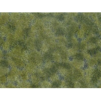 NOCH 07250 Mittelgrün Gras Modellzubehör NOCH 07250 Mittelgrün Gras Modellzubehör