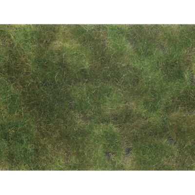 NOCH 07251 Olive Green Landschaftsgrundierung - Maßstabsmodell Zubehör NOCH 07251 Olive Green Landschaftsgrundierung - Maßstabsmodell Zubehör