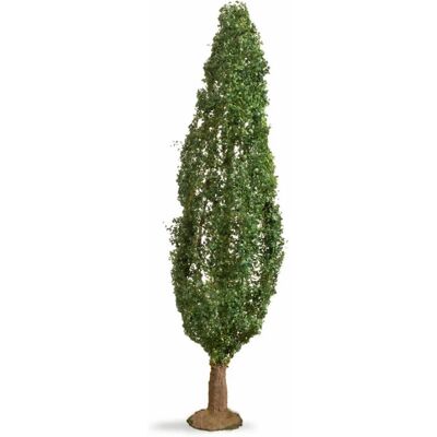 NOCH Pappelbaum - Modellbaum für Dioramen & Landschaften NOCH Pappelbaum - Modellbaum für Dioramen & Landschaften