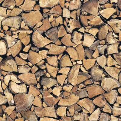 d-c-fix 346-0493 Selbstklebender Vinyl - Nachbildung Holz - Wandbelag d-c-fix 346-0493 Selbstklebender Vinyl - Nachbildung Holz - Wandbelag