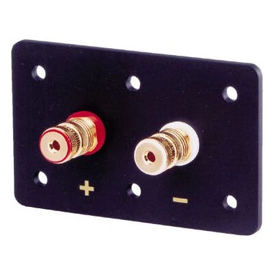 Terminale di Alta Gamma Visaton - Connessione Doppia, 10mm², 660mm - Terminale Elettrico Terminale di Alta Gamma Visaton - Connessione Doppia, 10mm², 660mm - Terminale Elettrico