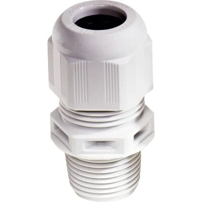 Wiska - 10061435 - 2" NPT - Polyamide grijs - Kabelverschraubing Wiska - 10061435 - 2" NPT - Polyamide grijs - Kabelverschraubing
