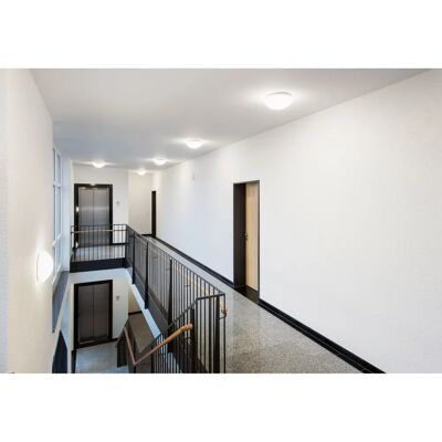 Steinel Weiße LED-Innenleuchte RS PRO P2-R S 3000K - Innenraumbeleuchtung Steinel Weiße LED-Innenleuchte RS PRO P2-R S 3000K - Innenraumbeleuchtung