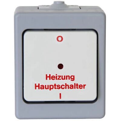 Kopp 567348009 Interruptor de luz gris - Calefacción, IP44 Kopp 567348009 Interruptor de luz gris - Calefacción, IP44