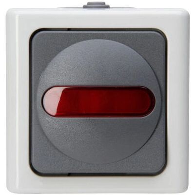 Kopp Interruptor de Luz - Gris - IP44 - Termoplástico Kopp Interruptor de Luz - Gris - IP44 - Termoplástico
