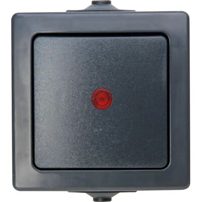 Kopp Nautic Control Switch - IP44, Illum. - 2-Pole - Gray/Anthracite - Switch Kopp Nautic Control Switch - IP44, Illum. - 2-Pole - Gray/Anthracite - Switch