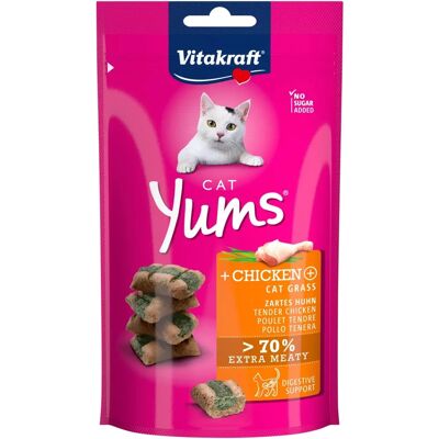 Modèle Vitakraft - Nourriture pour chats au poulet et cataire - Publicité Modèle Vitakraft - Nourriture pour chats au poulet et cataire - Publicité