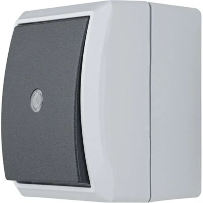 Przełącznik AquaForm Jasnoszary - IP44 Przełącznik AquaForm Jasnoszary - IP44