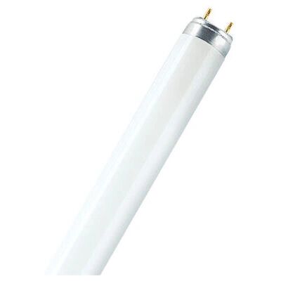 Osram Lumilux T8 18 W G13 Sky white - Ampoule fluorescente Osram Lumilux T8 18 W G13 Sky white - Ampoule fluorescente