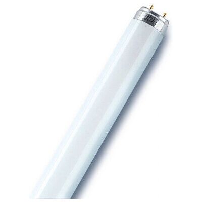 Osram Lumilux Cool White Fluorescent Bulb 19W - Fluorescent Lamp Osram Lumilux Cool White Fluorescent Bulb 19W - Fluorescent Lamp