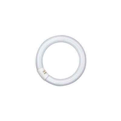 Ampoule fluorescente Osram G10q 32W - Type G9 - Publicité Ampoule fluorescente Osram G10q 32W - Type G9 - Publicité