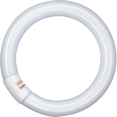 Lâmpada fluorescente Osram L 40W/865 G10Q - 40W, luz do dia, G10q Lâmpada fluorescente Osram L 40W/865 G10Q - 40W, luz do dia, G10q
