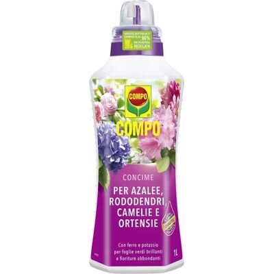 Concime Liquido Compo per Azalee, Rododendri, Camelie - Fertilizzante per piante acidofile Concime Liquido Compo per Azalee, Rododendri, Camelie - Fertilizzante per piante acidofile