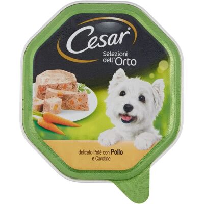 Cesar Cesar Selezione Dell'Orto Piccola Taglia Pollo Carota Erbe Patè - Cibo per cani Cesar Cesar Selezione Dell'Orto Piccola Taglia Pollo Carota Erbe Patè - Cibo per cani