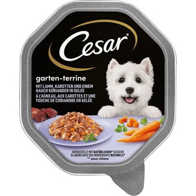 Comida húmeda Cesar para perros - 14 x 150 g Comida húmeda Cesar para perros - 14 x 150 g